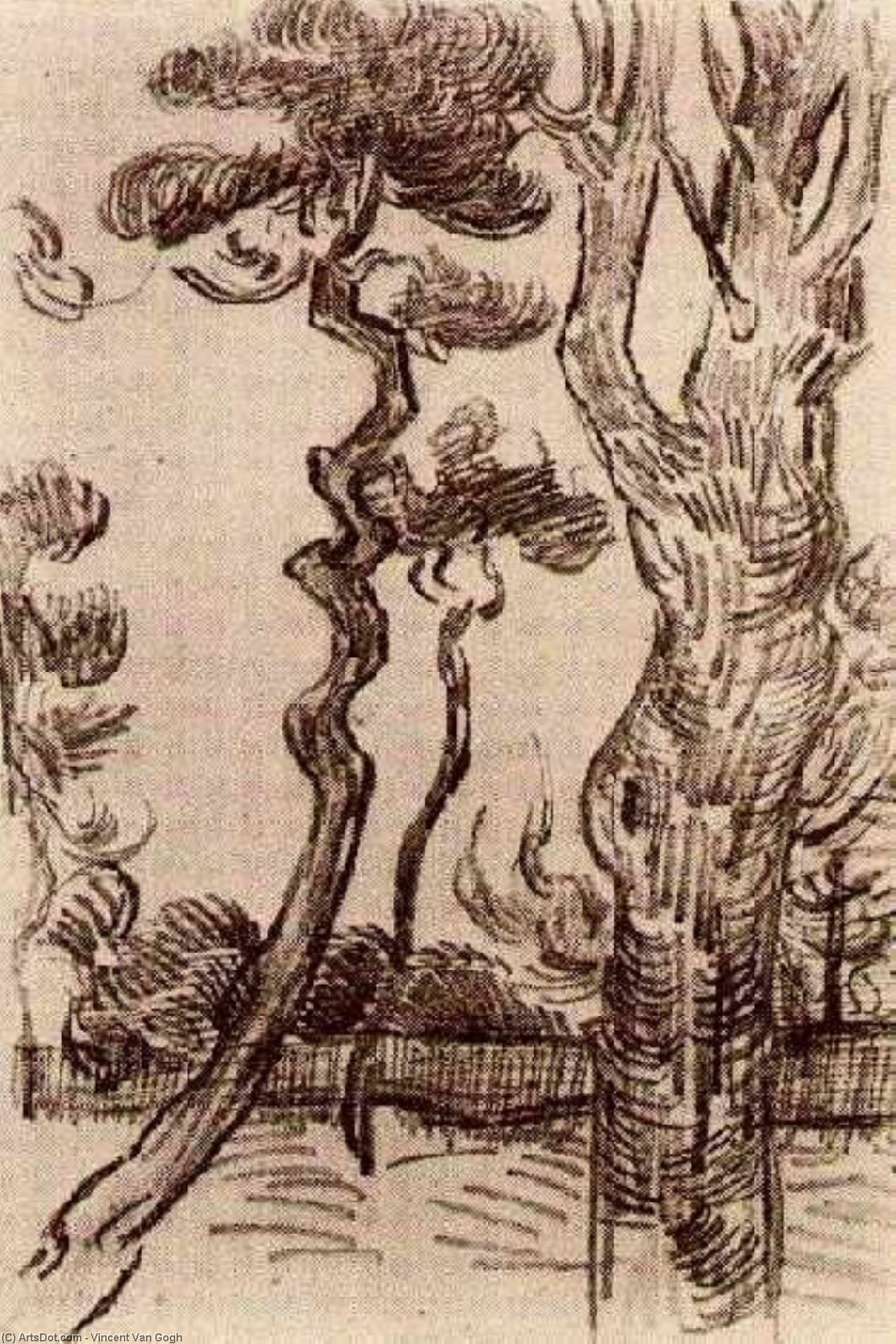 Pine Trees Seen Against The Wall Of The Asylum — Vincent Willem Van Gogh