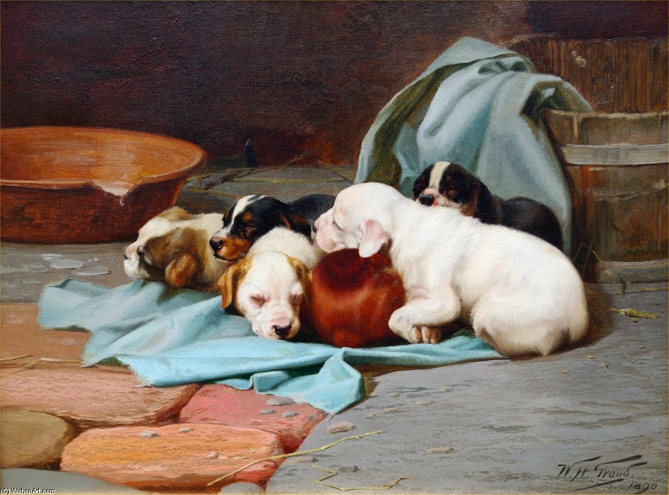 Pups' Slumber — William Henry Midwood