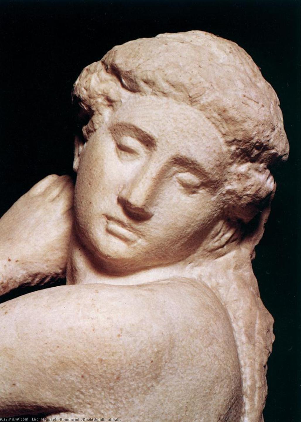 David/apollo (detail) — Michelangelo Buonarroti
