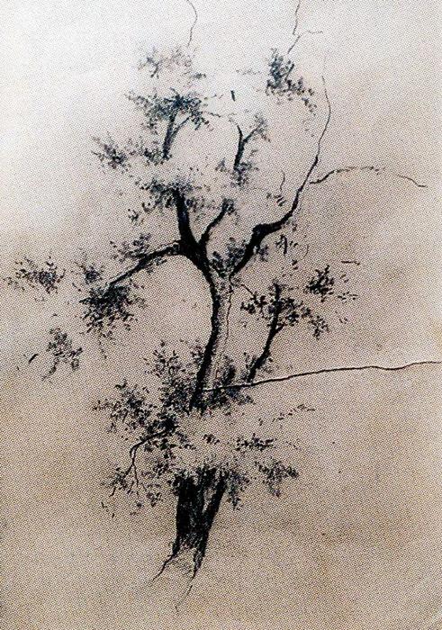 Sketch Of A Tree — Ovidio Murguía De Castro