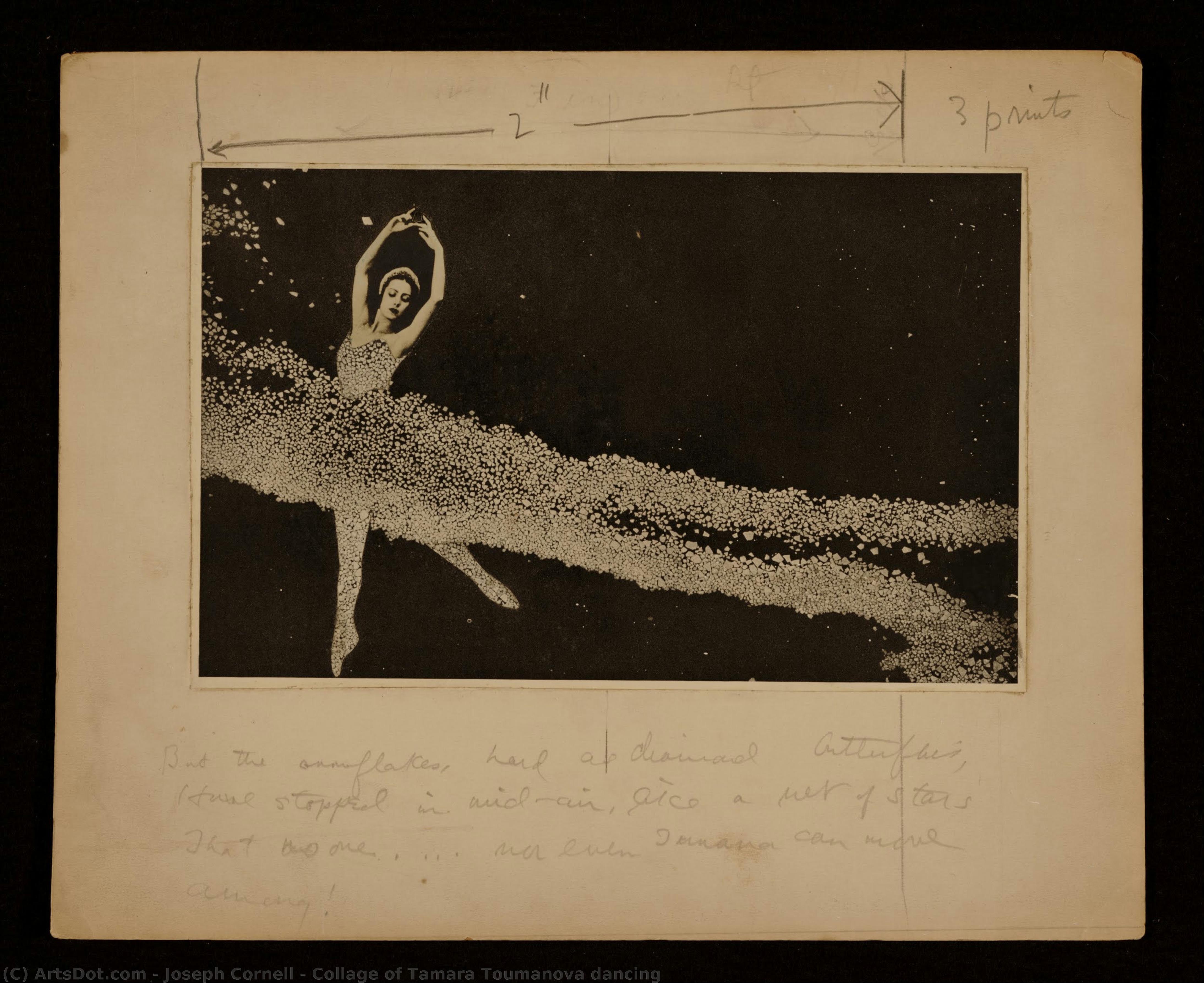 Collage Of Tamara Toumanova Dancing — Joseph Cornell