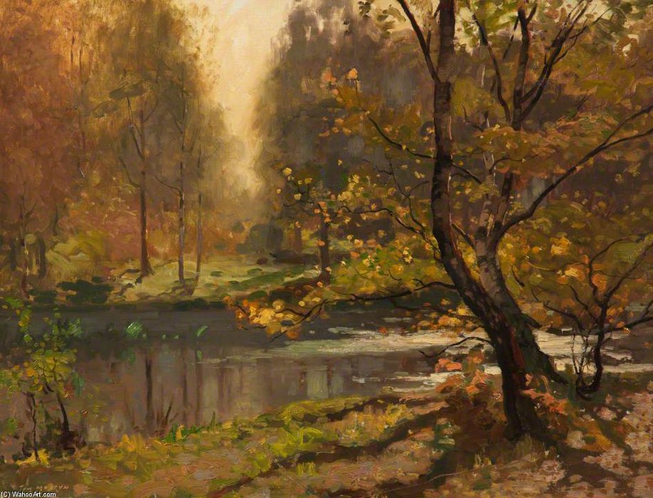 Morning, Burnham Beeches, Buckinghamshire — Thomas E Mostyn