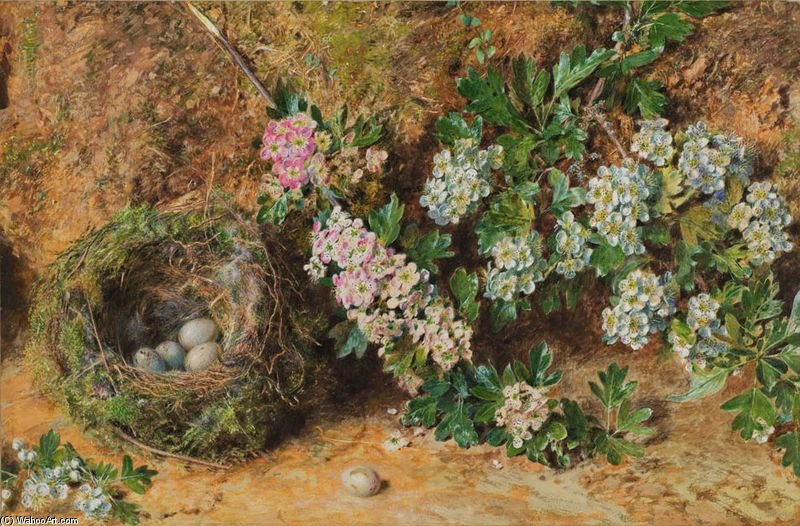 Chaffinch Nest And May Blossom — William Henry Hunt