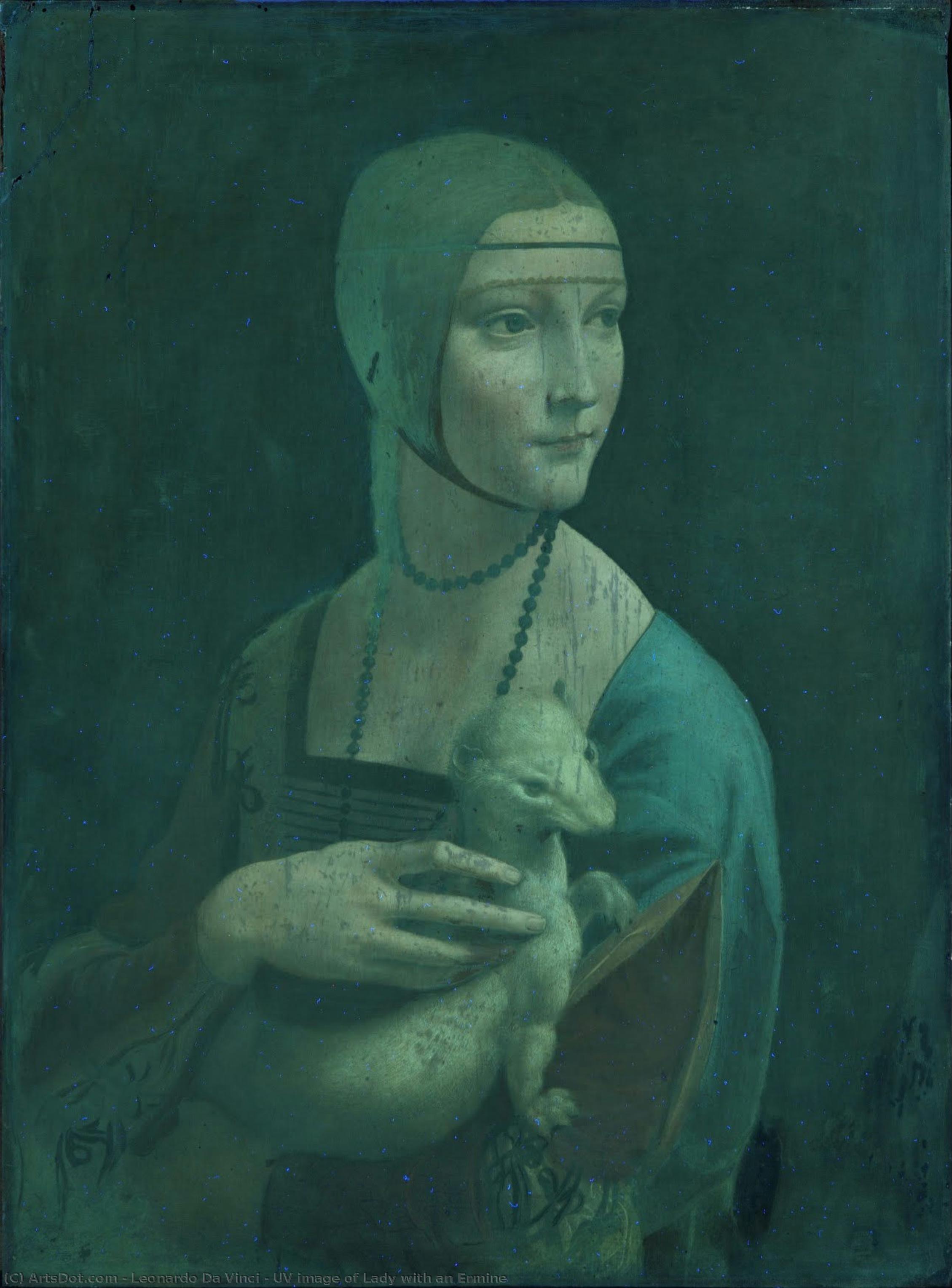 Uv Image Of Lady With An Ermine — Leonardo Da Vinci