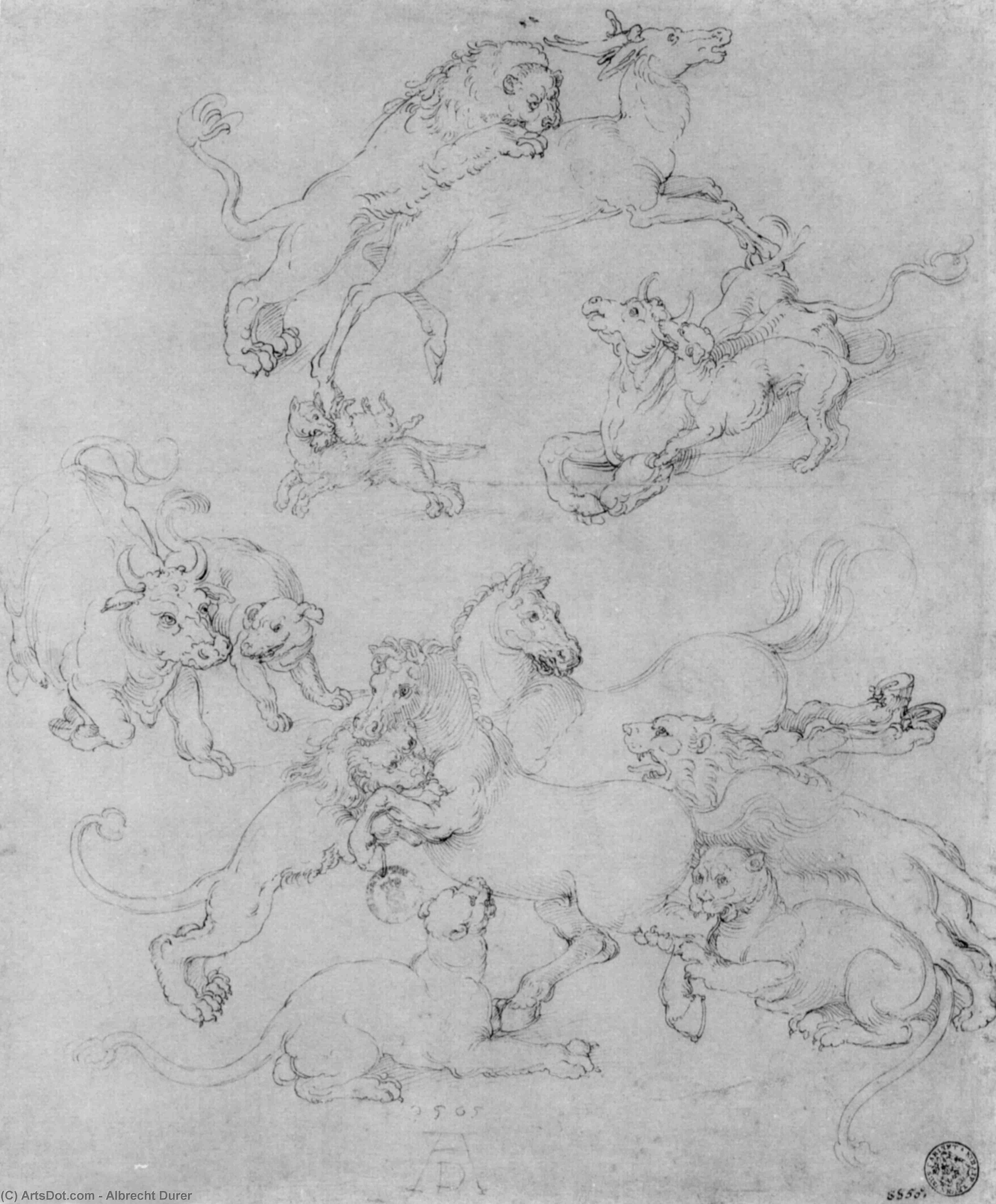 Study Sheet With The Attacked Animals — Albrecht Dürer