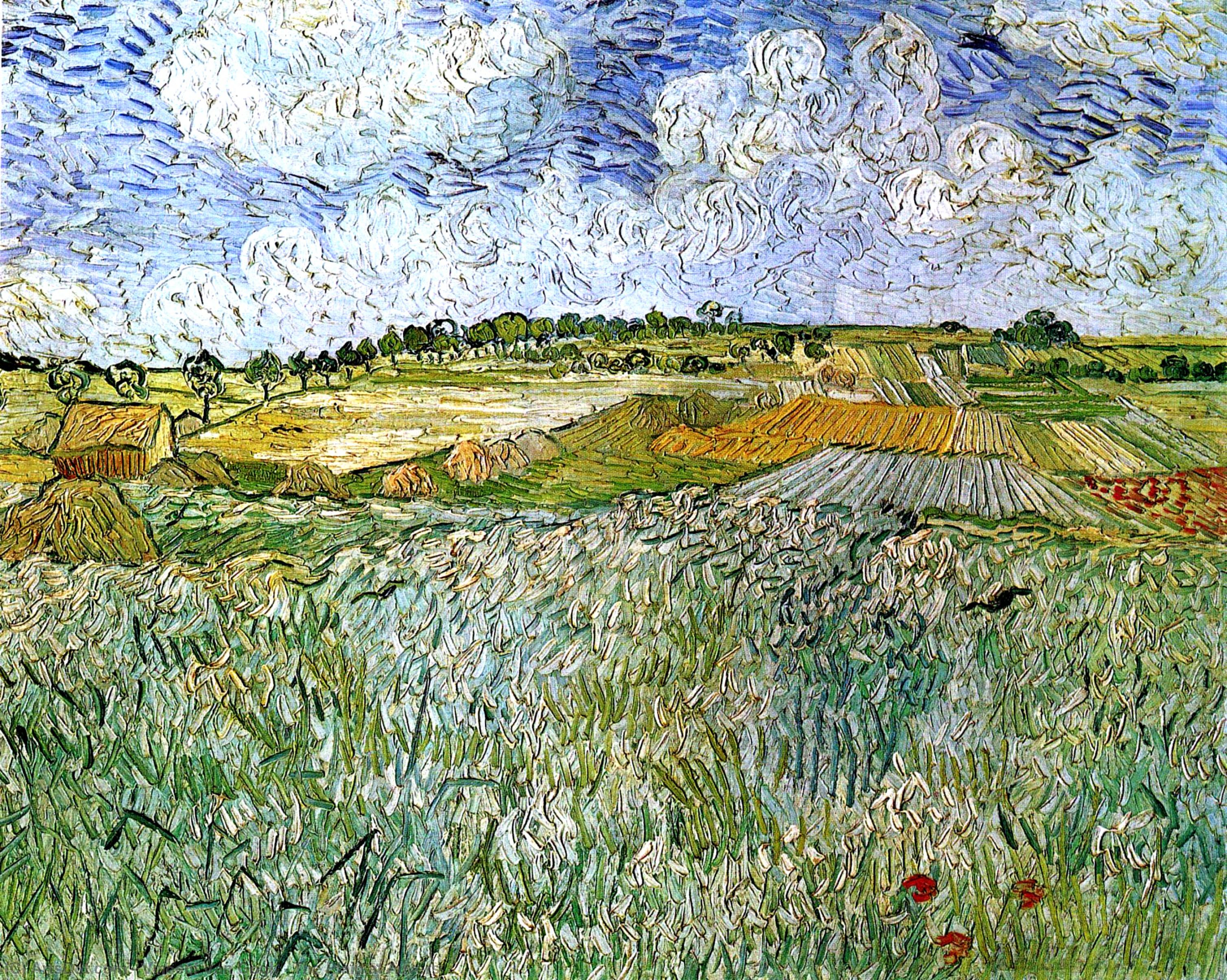 The Plain At Auvers — Vincent Willem Van Gogh