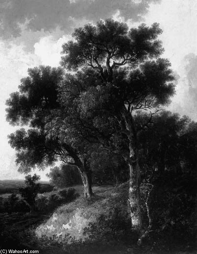 Colney Woods, Norfolk — John Berney Ladbrooke