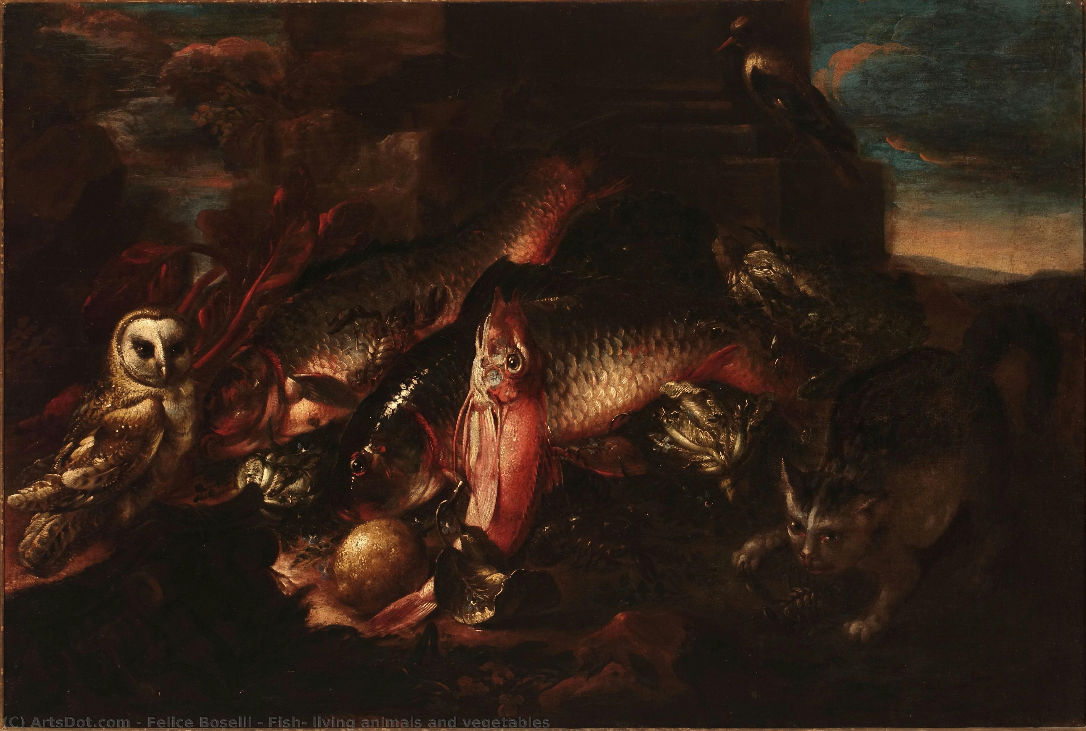 Fish, Living Animals And Vegetables — Felice Boselli