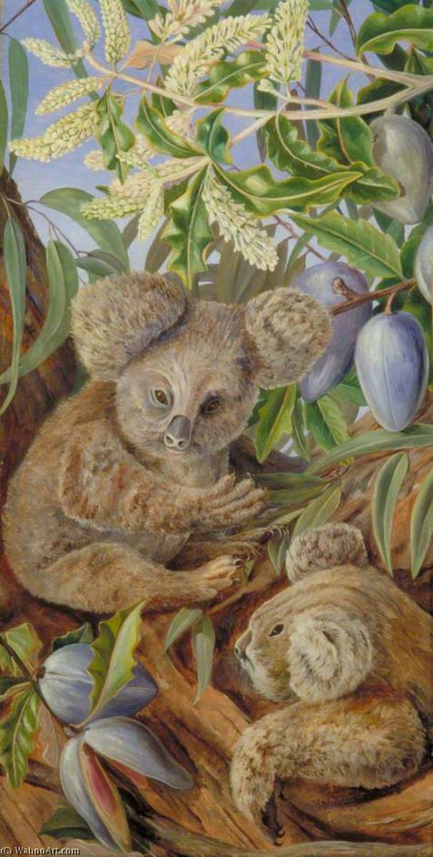 Australian Bears And Australian Pears (koala) — Marianne North