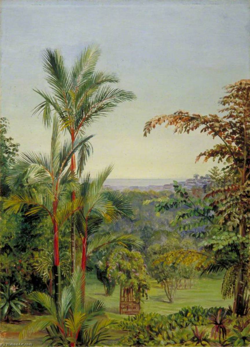 View Of Singapore From Dr Little's Garden — Marianne North