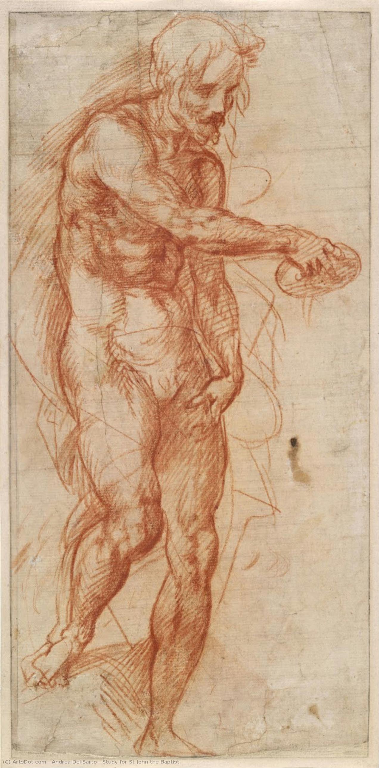 Study For St John The Baptist — Andrea Del Sarto