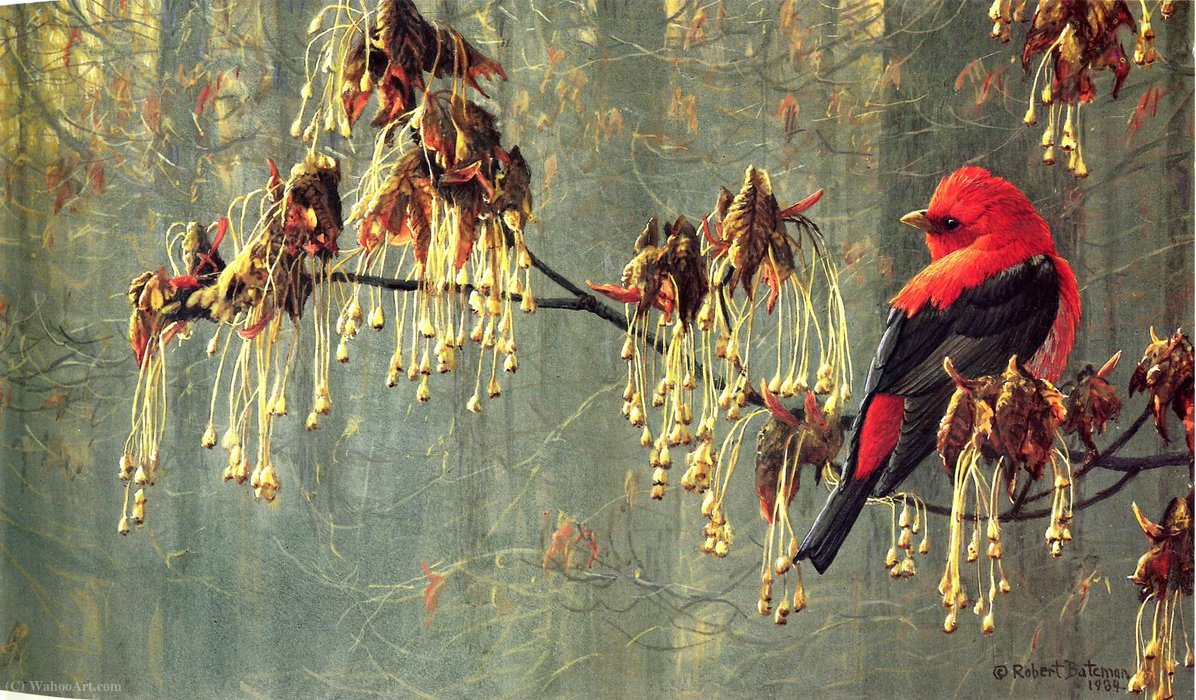 Untitled (358) — Robert Bateman