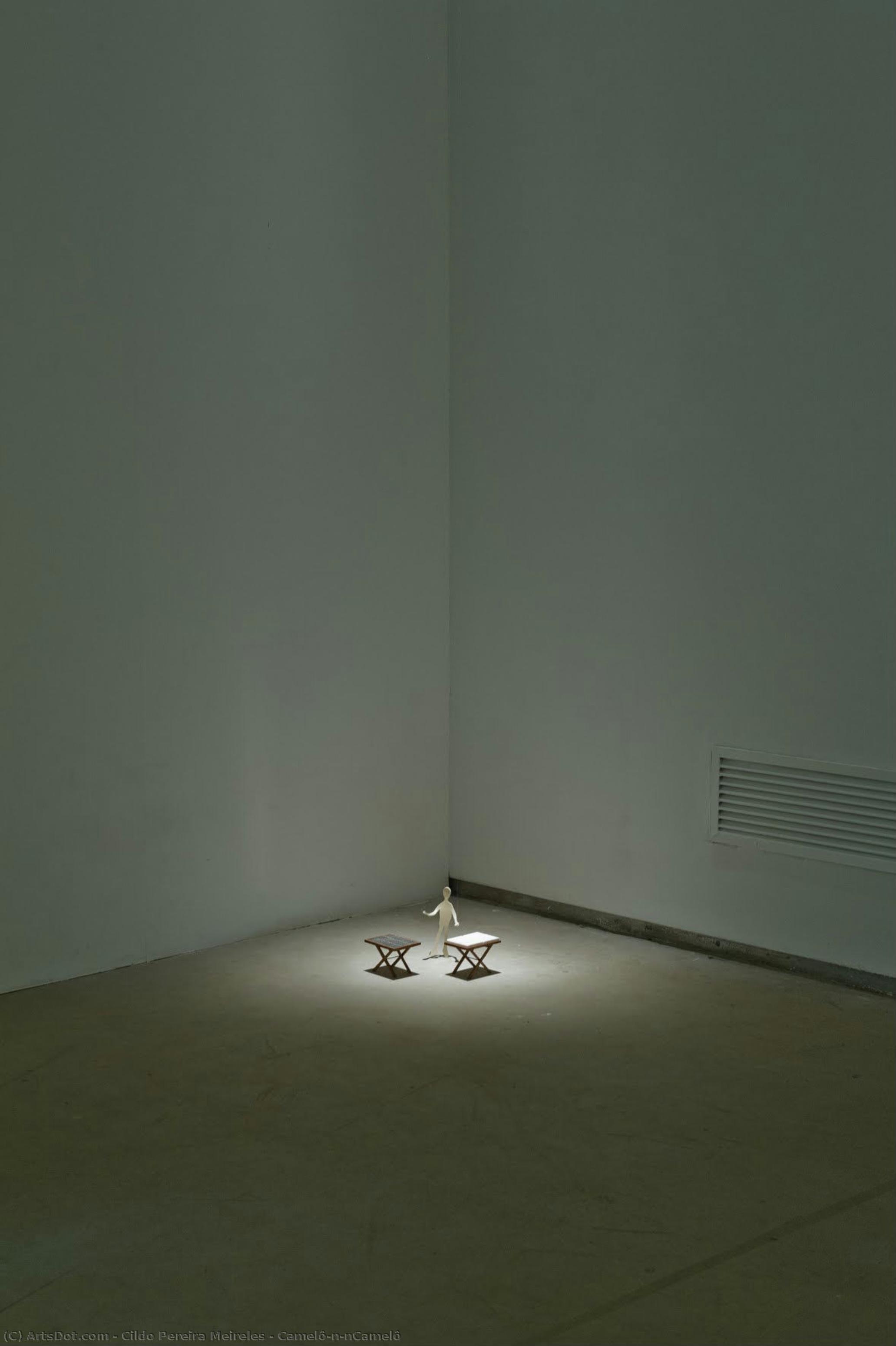Camelô\n\ncamelô — Cildo Pereira Meireles