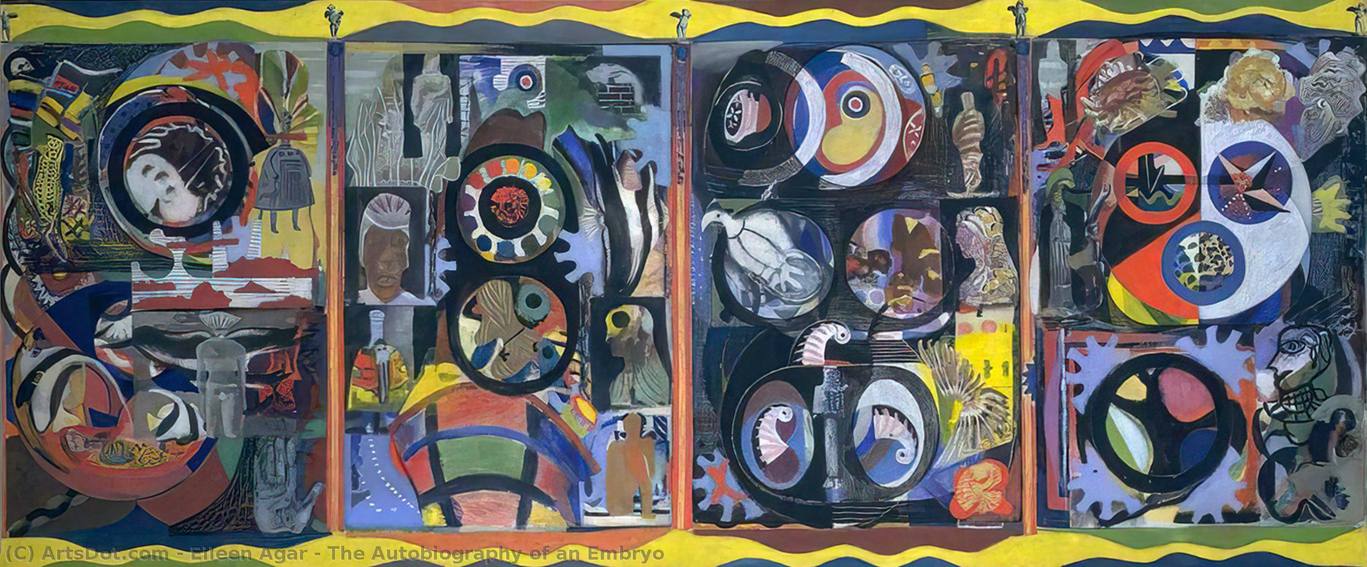 The Autobiography Of An Embryo — Eileen Agar