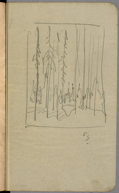 Dead Spruce — Arthur Lismer