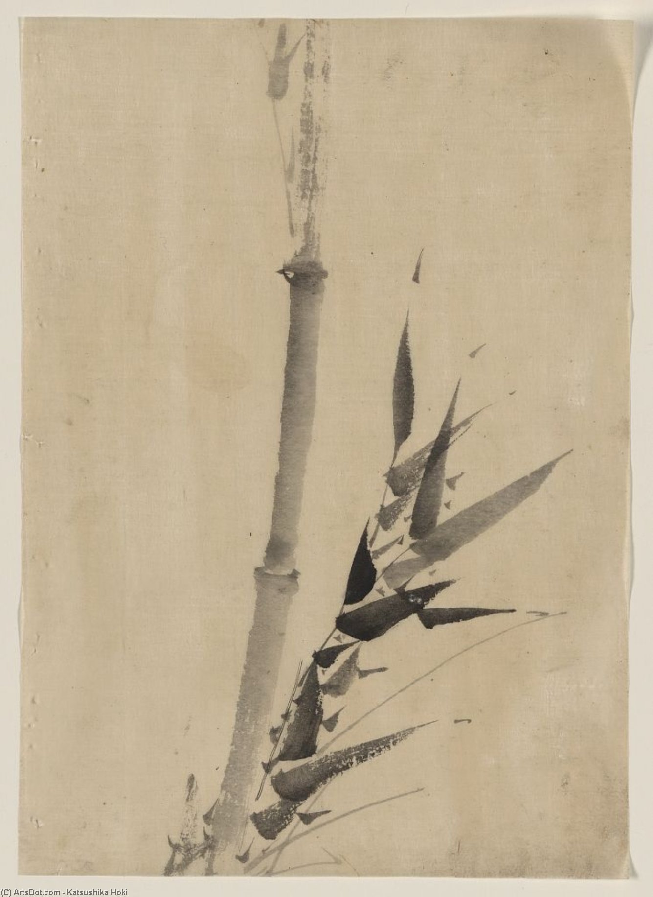 Bamboo — Katsushika Hokusai