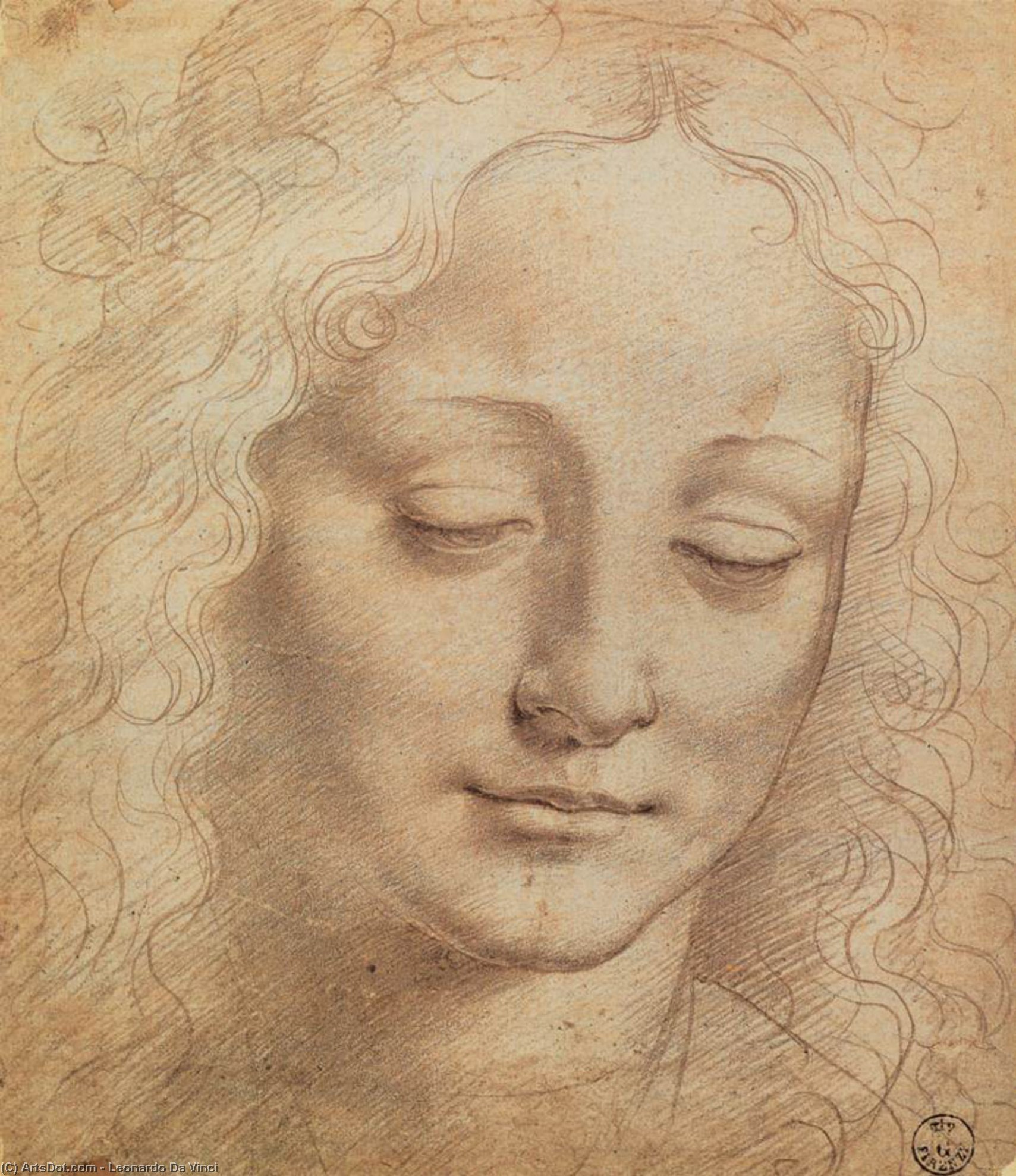 Female Head — Leonardo Da Vinci