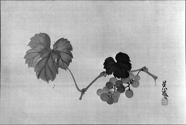 Grapevine — Matsumura Goshun