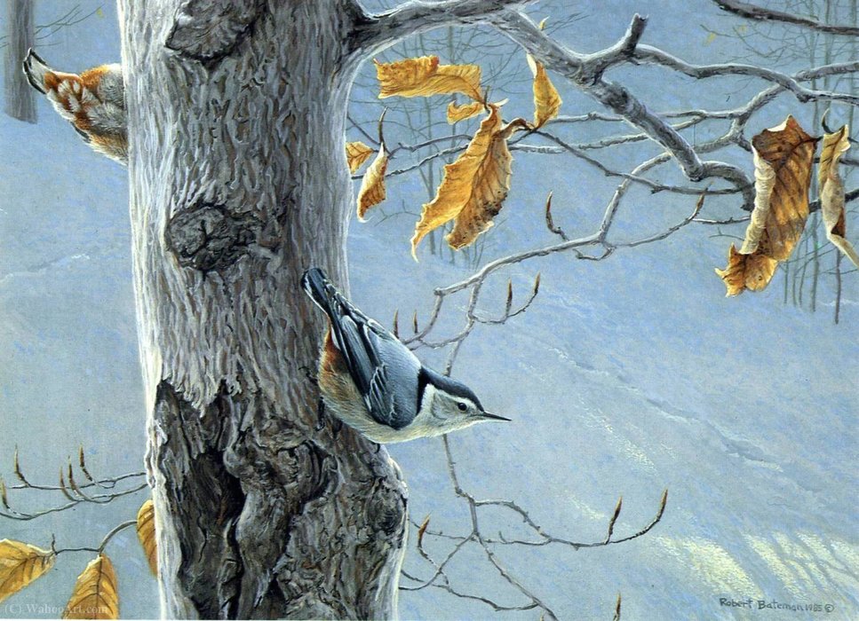 Untitled (526) — Robert Bateman