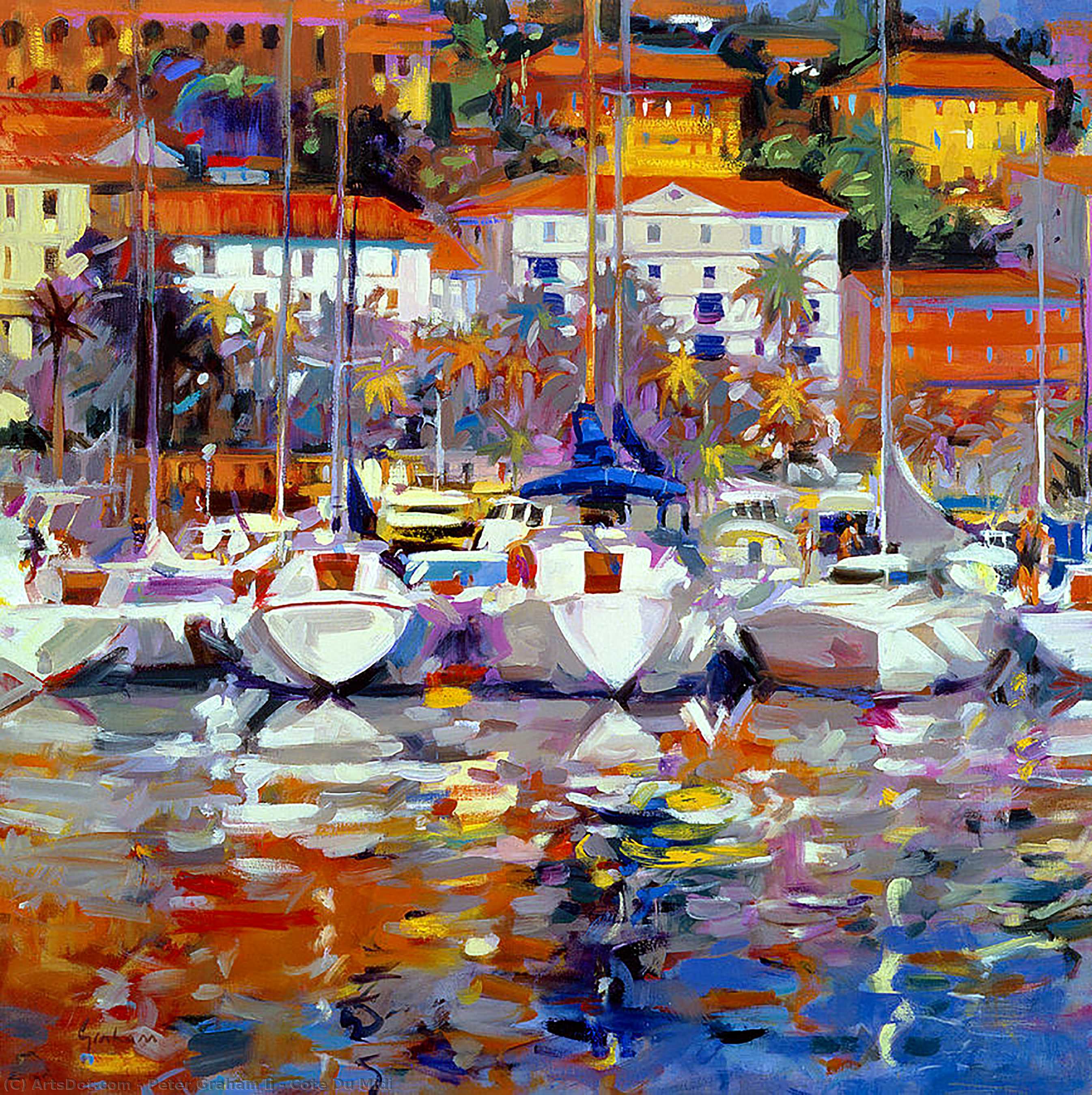 Cote Du Midi — Peter Graham Li