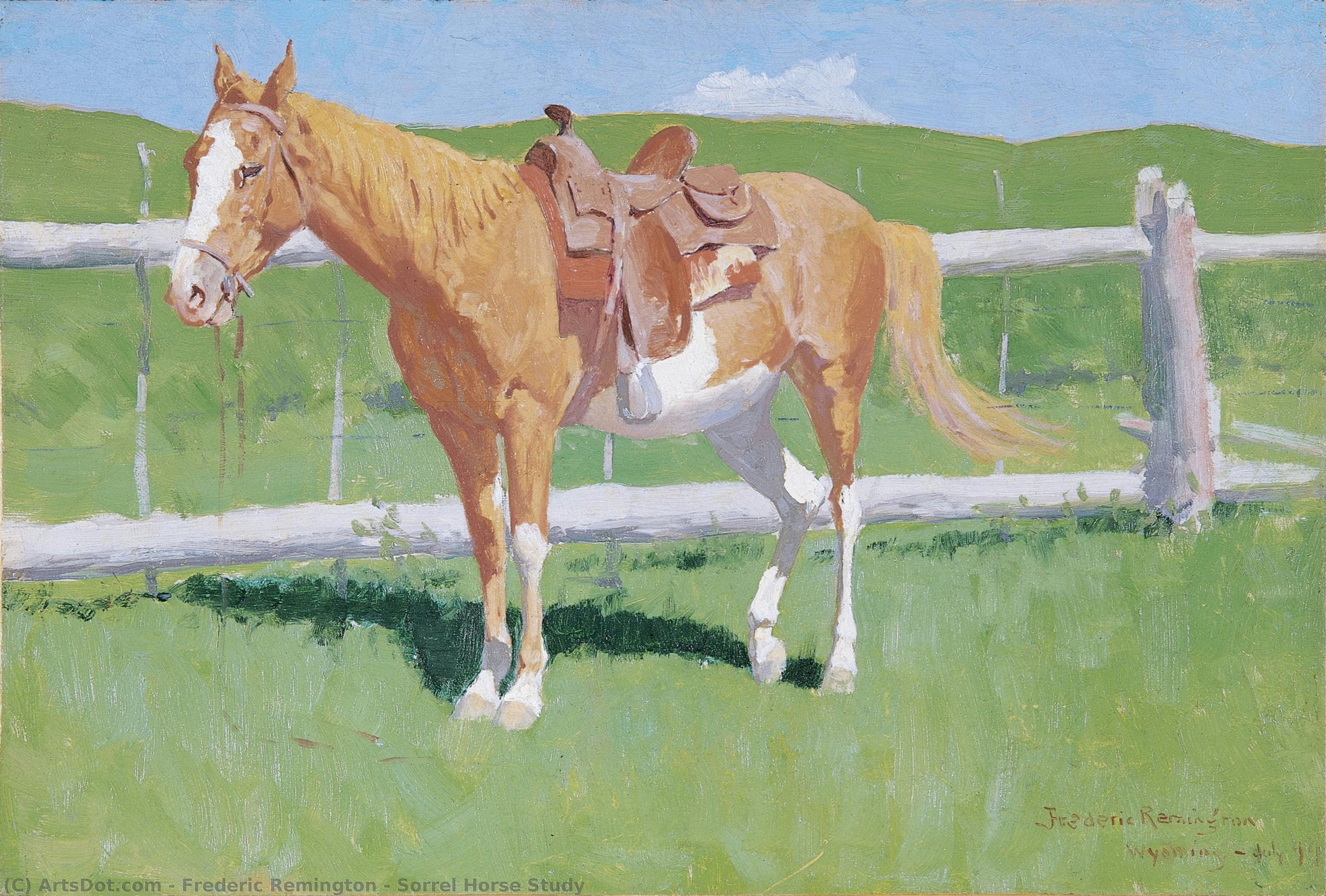 Sorrel Horse Study — Frederic Remington
