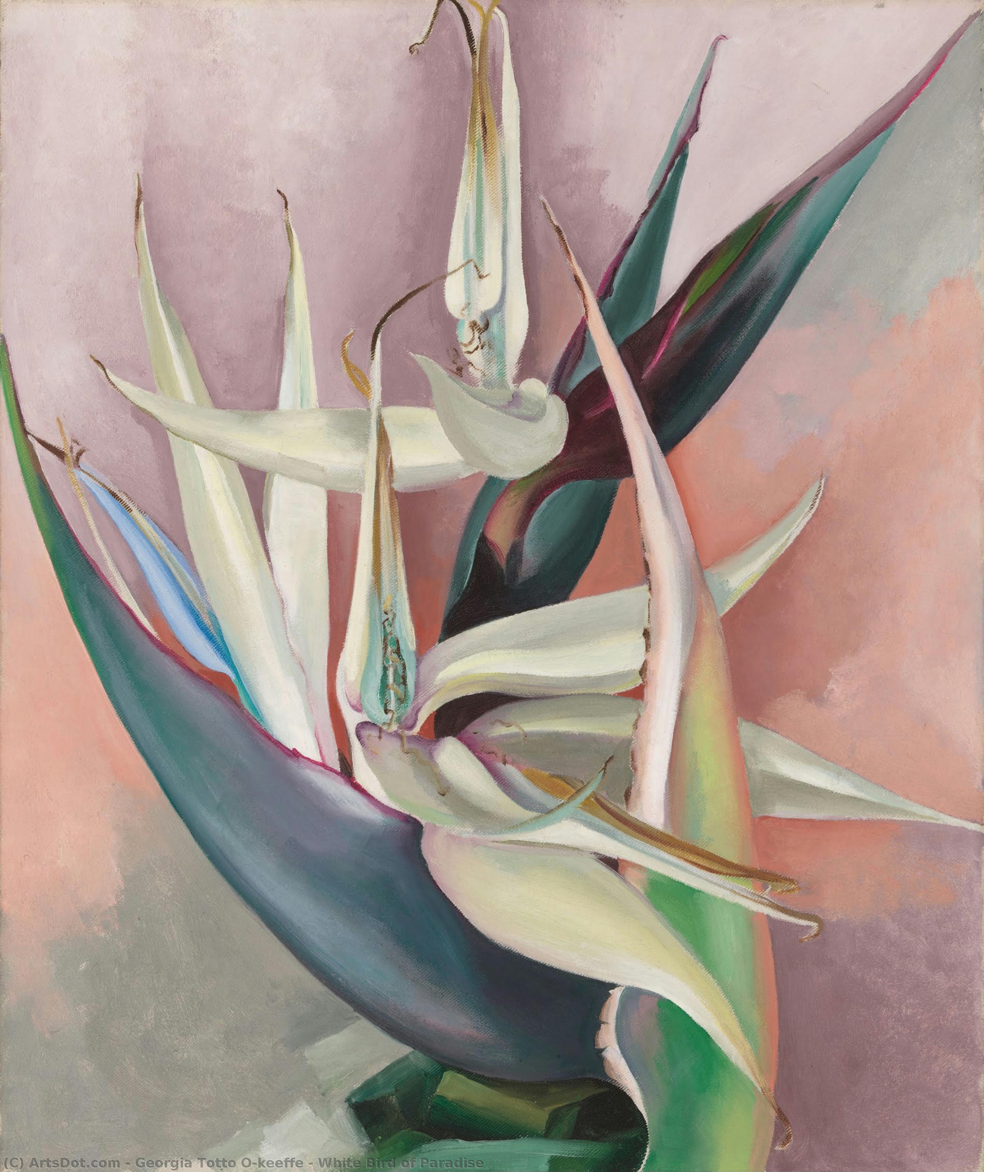 White Bird Of Paradise — Georgia O'keeffe
