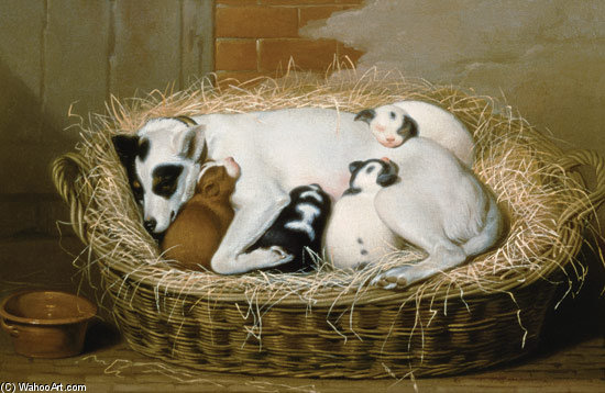 Bitch With Her Puppies In A Wicker Basket — Samuel De Wilde