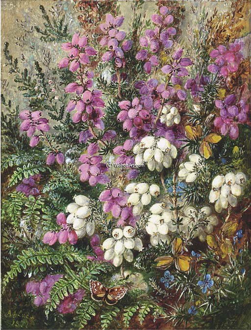 Wild Heath - — Albrecht Dürer