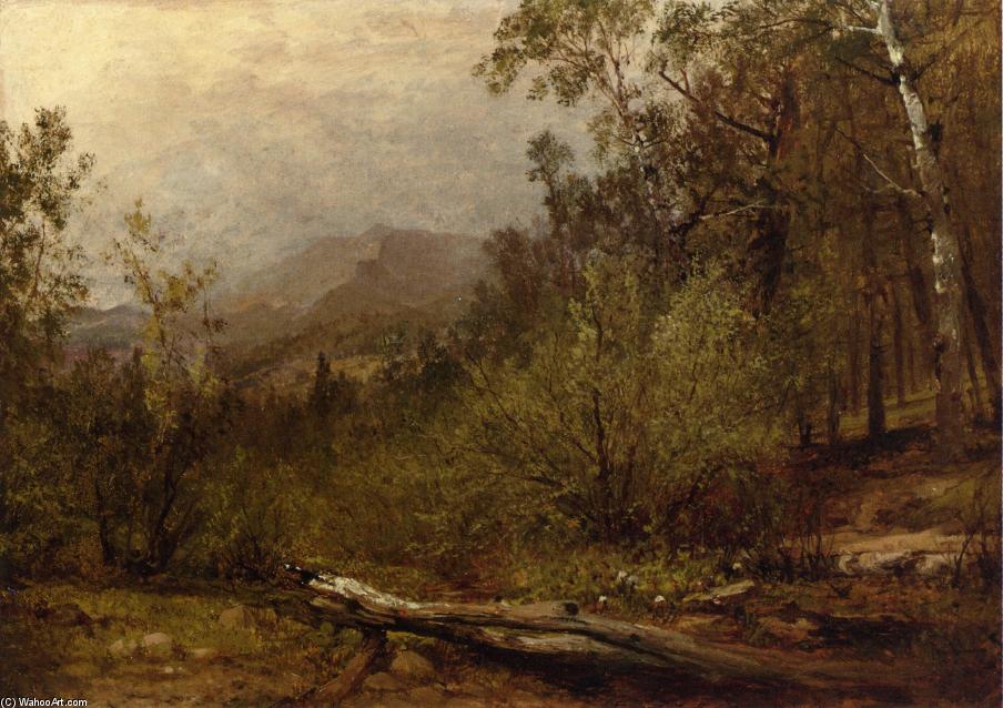 Trotter's Spring, Colorado — John Frederick Kensett