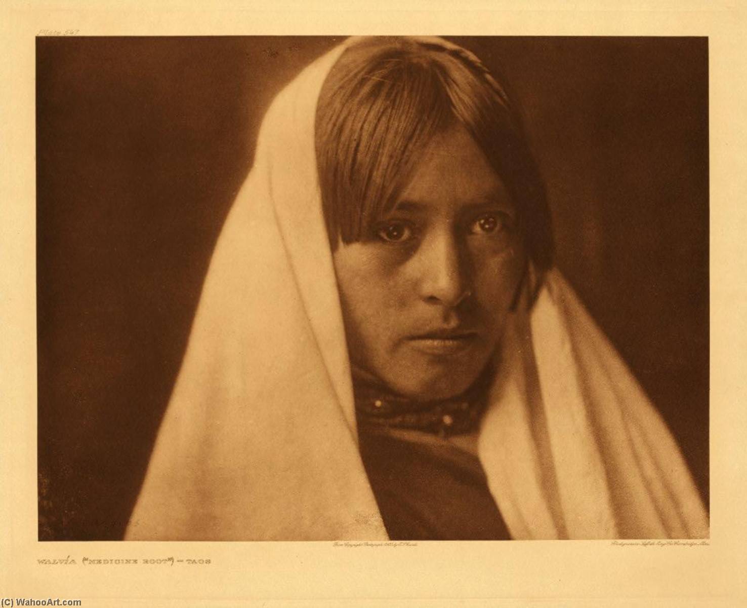 Untitled (aqu44z) — Edward Sheriff Curtis