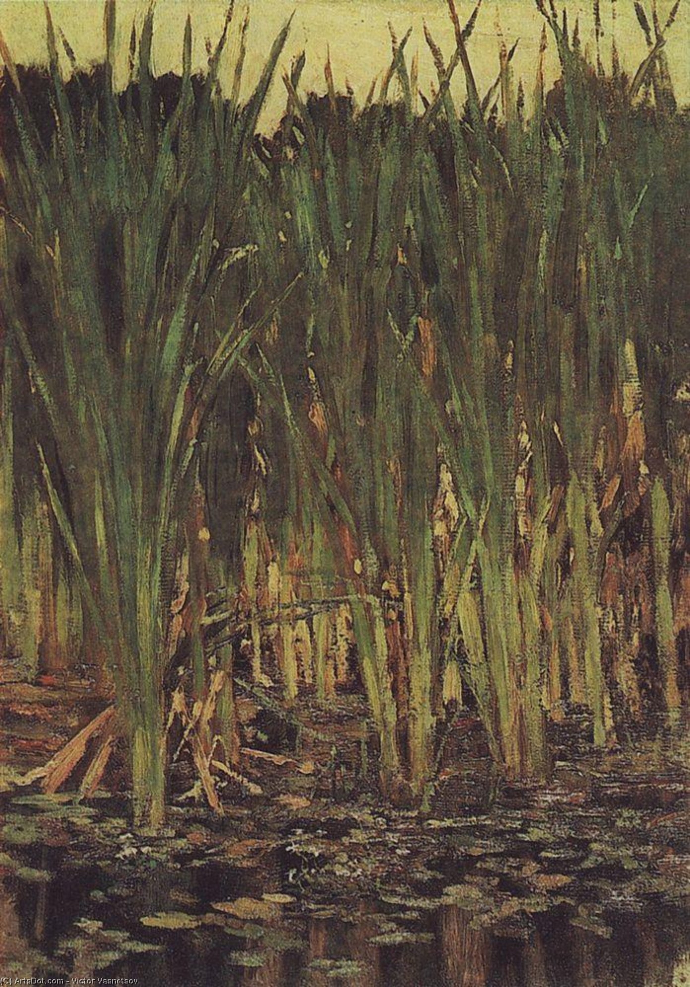 Sedge — Victor Vasnetsov