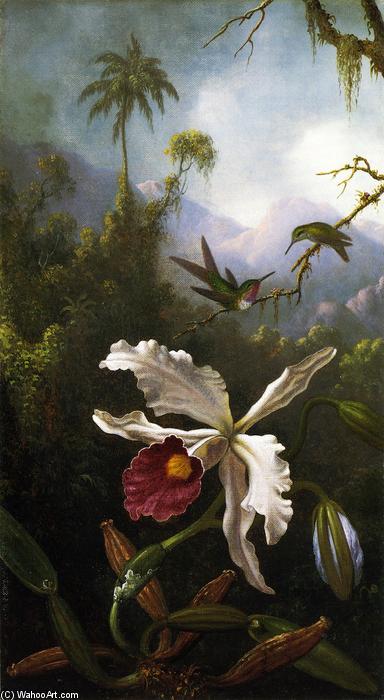 Two Hummingbirds Above A White Orchid — Martin Johnson Heade