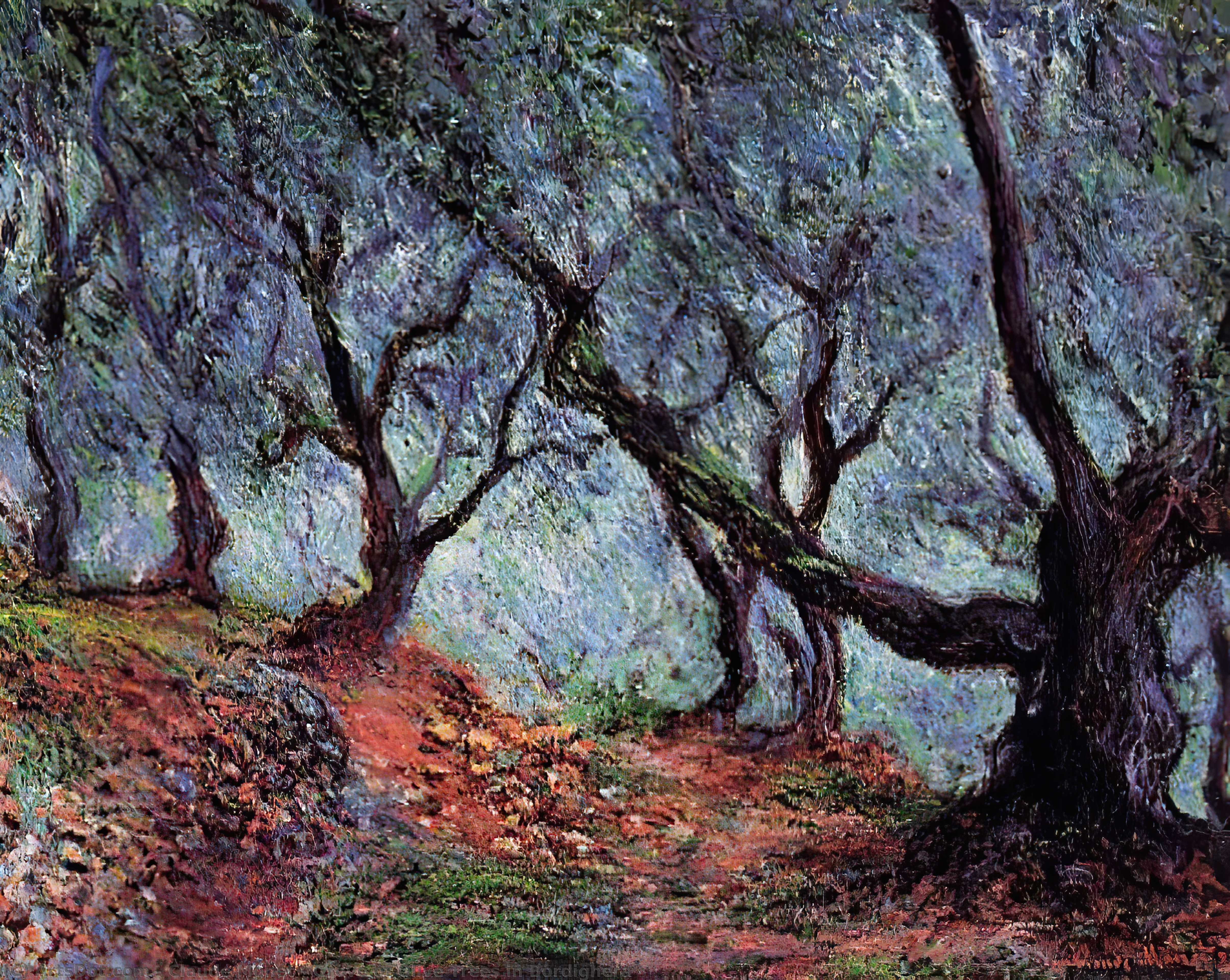 Grove Of Olive Trees In Bordighera — Claude Monet