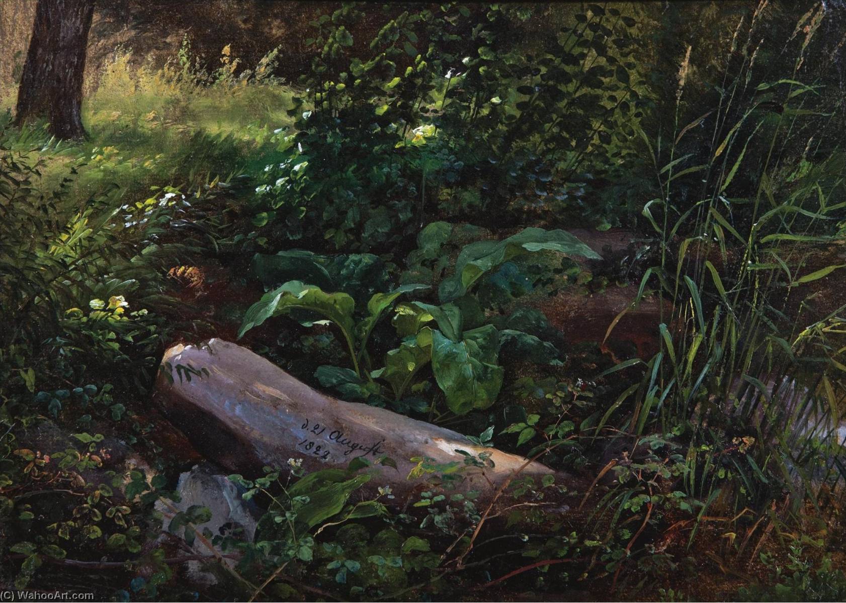 Forest Study From ‚grosser Garten‘ In Dresden — Johan Christian Claussen Dahl