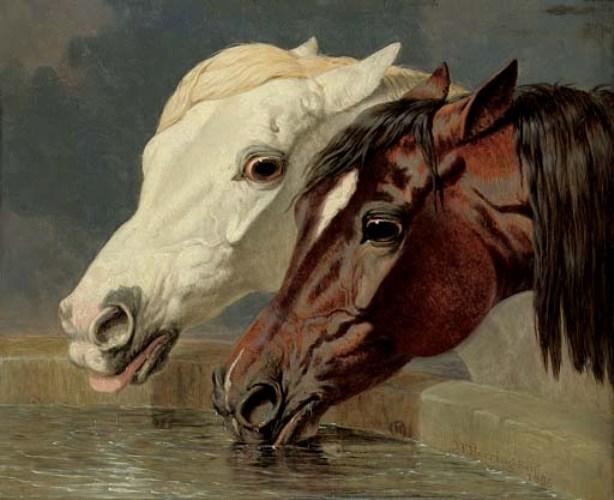 A Grey And A Dark Bay, Drinking At A Trough — John Frederick Herring Senior
