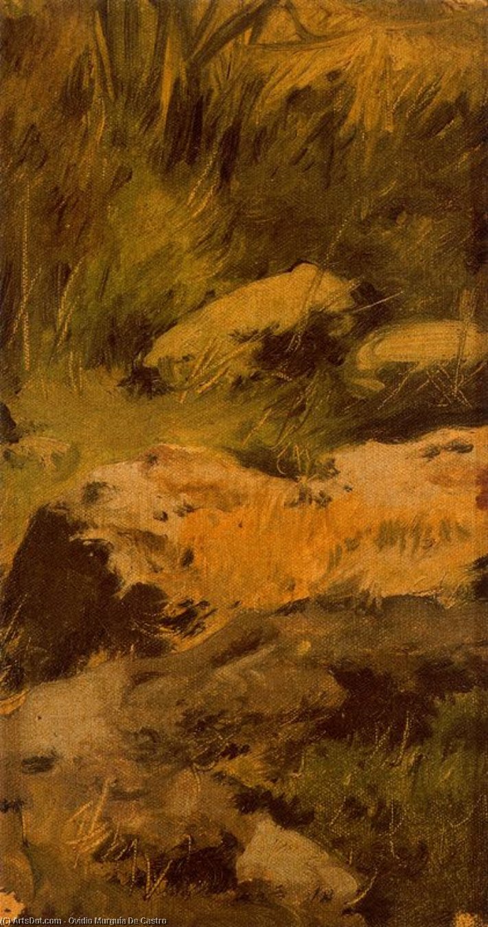 Brana With Rocks — Ovidio Murguía De Castro