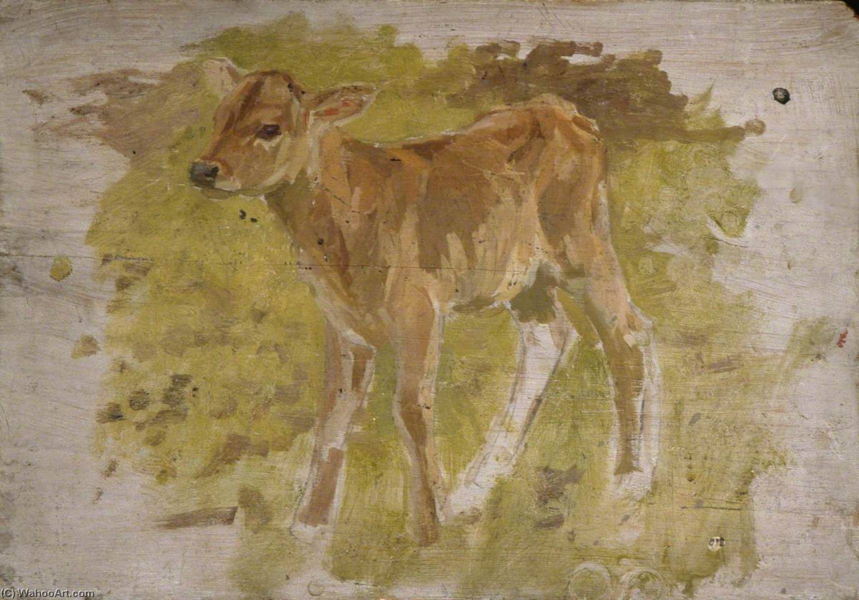 Calf — Gunning King