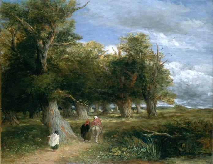 The Skirts Of The Forest — David Cox