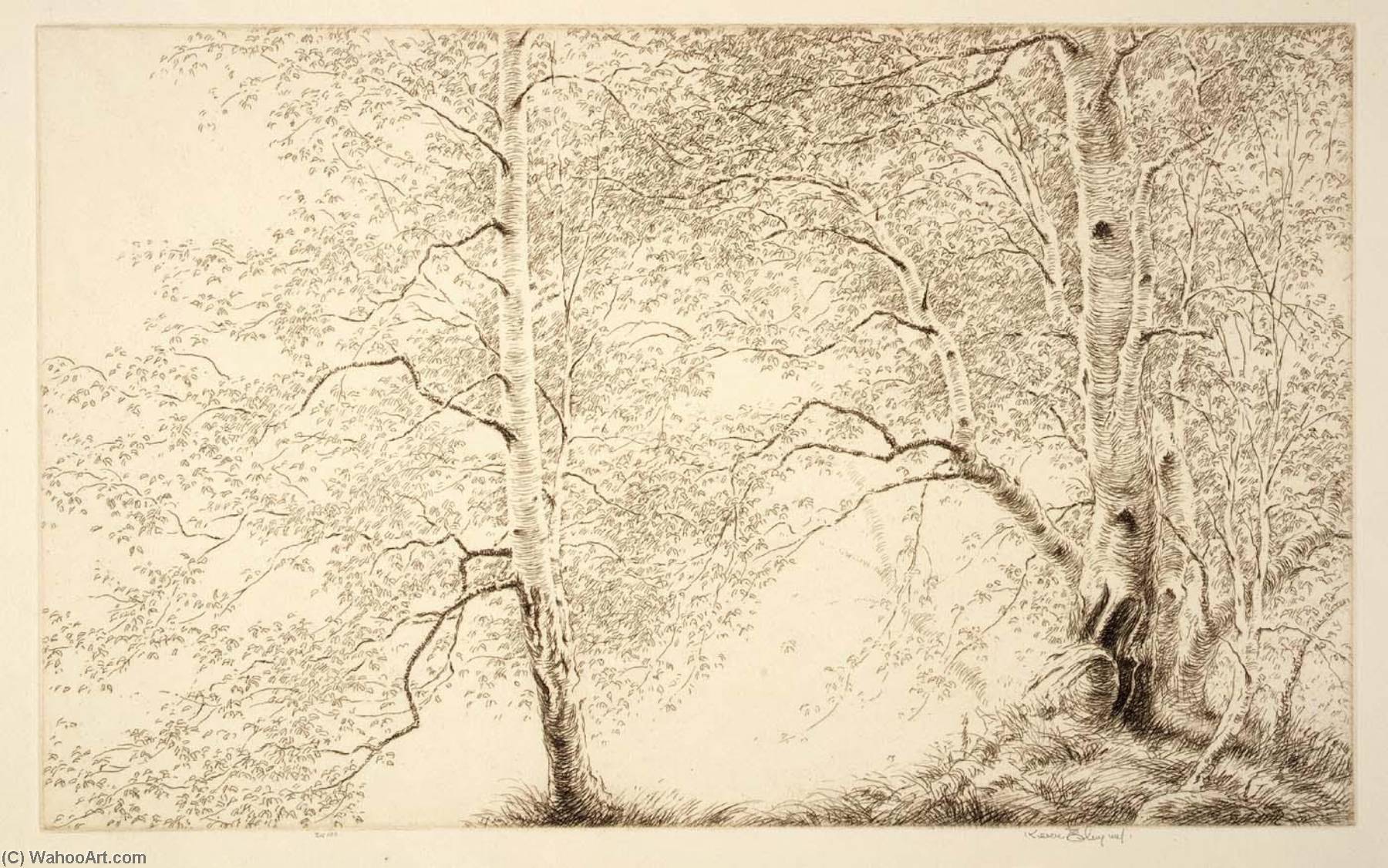 Birches — Kerr Eby