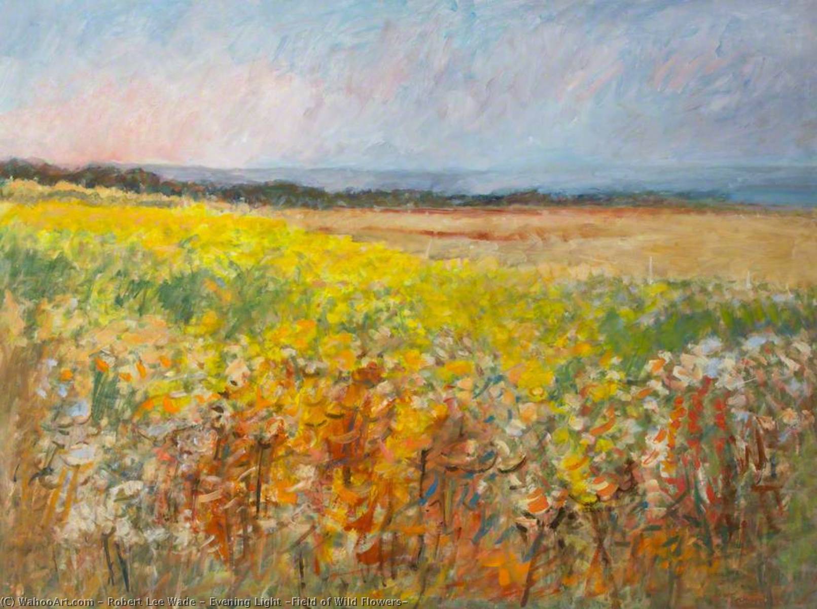 Evening Light (field Of Wild Flowers) — Robert Lee Wade