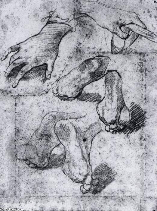 Studies Of Hands And Feet — Michel François Dandré Bardon