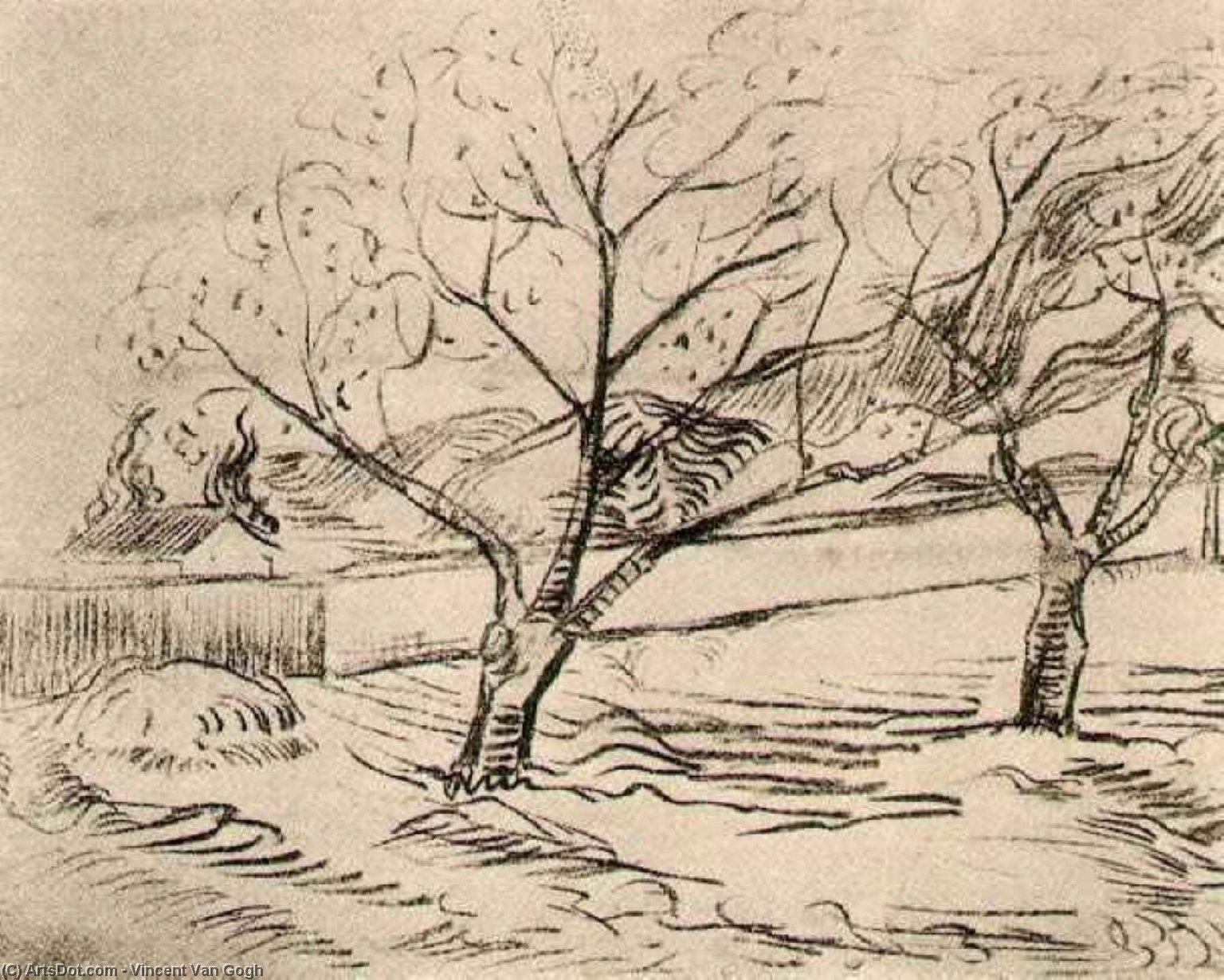 Two Trees — Vincent Willem Van Gogh