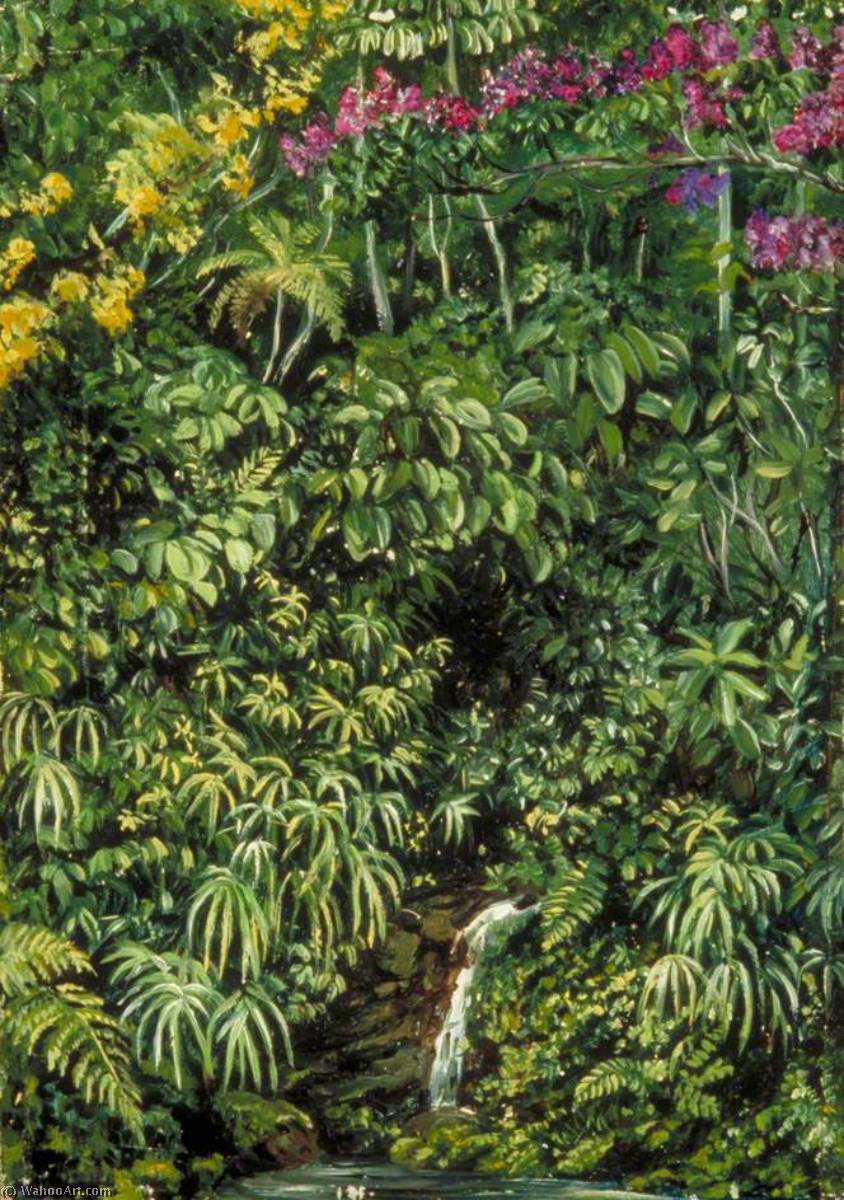 Glimpse In A Glen At Gongo, Brazil — Marianne North