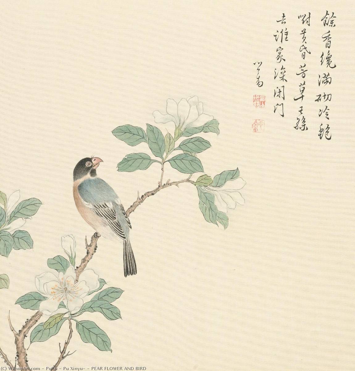 Pear Flower And Bird — Puru ( Pu Xinyu)