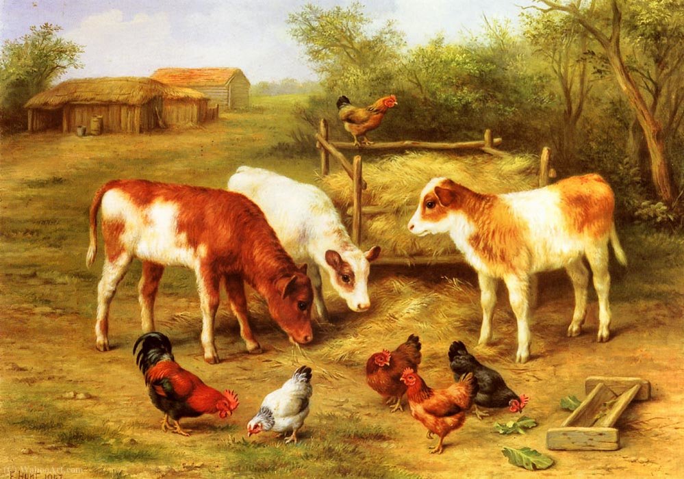 Calves And Chickens Feeding In A Farmyard — Edgar Hunt