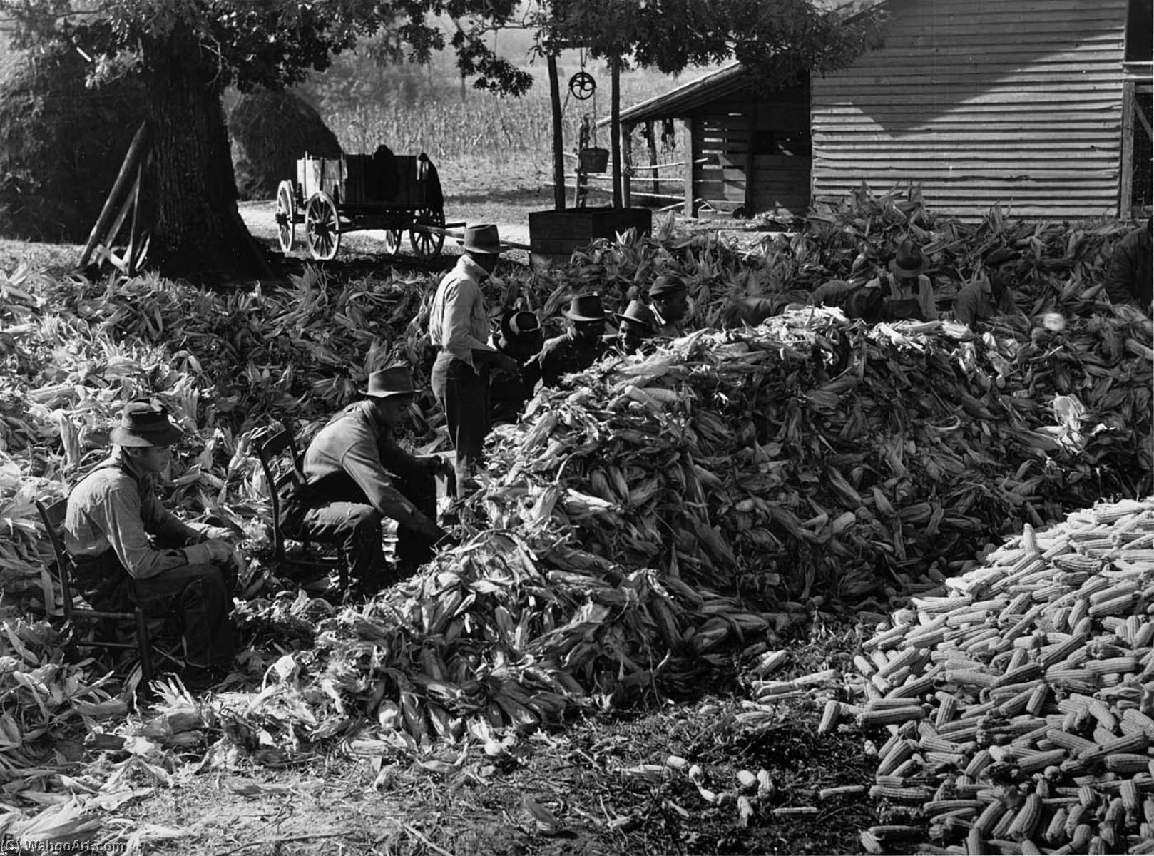 Corn Shucking At The Fred Wilkins Farm. Stem, North Carolina — Marion Post Wolcott