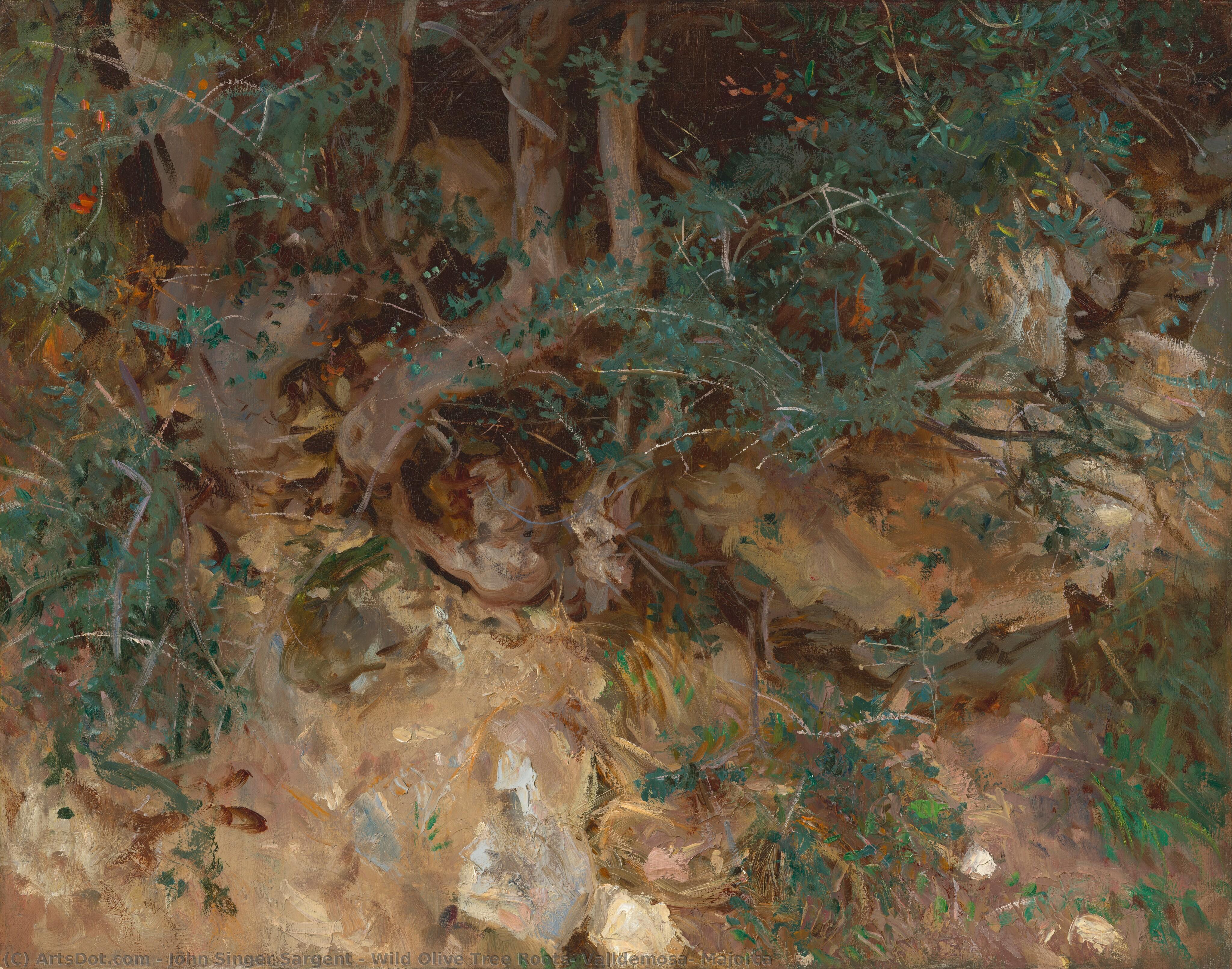 Wild Olive Tree Roots, Valldemosa, Majorca — John Singer Sargent