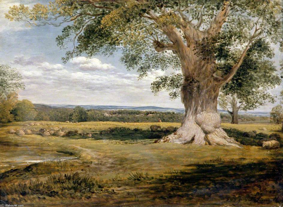 Woody Landscape — John Linnell