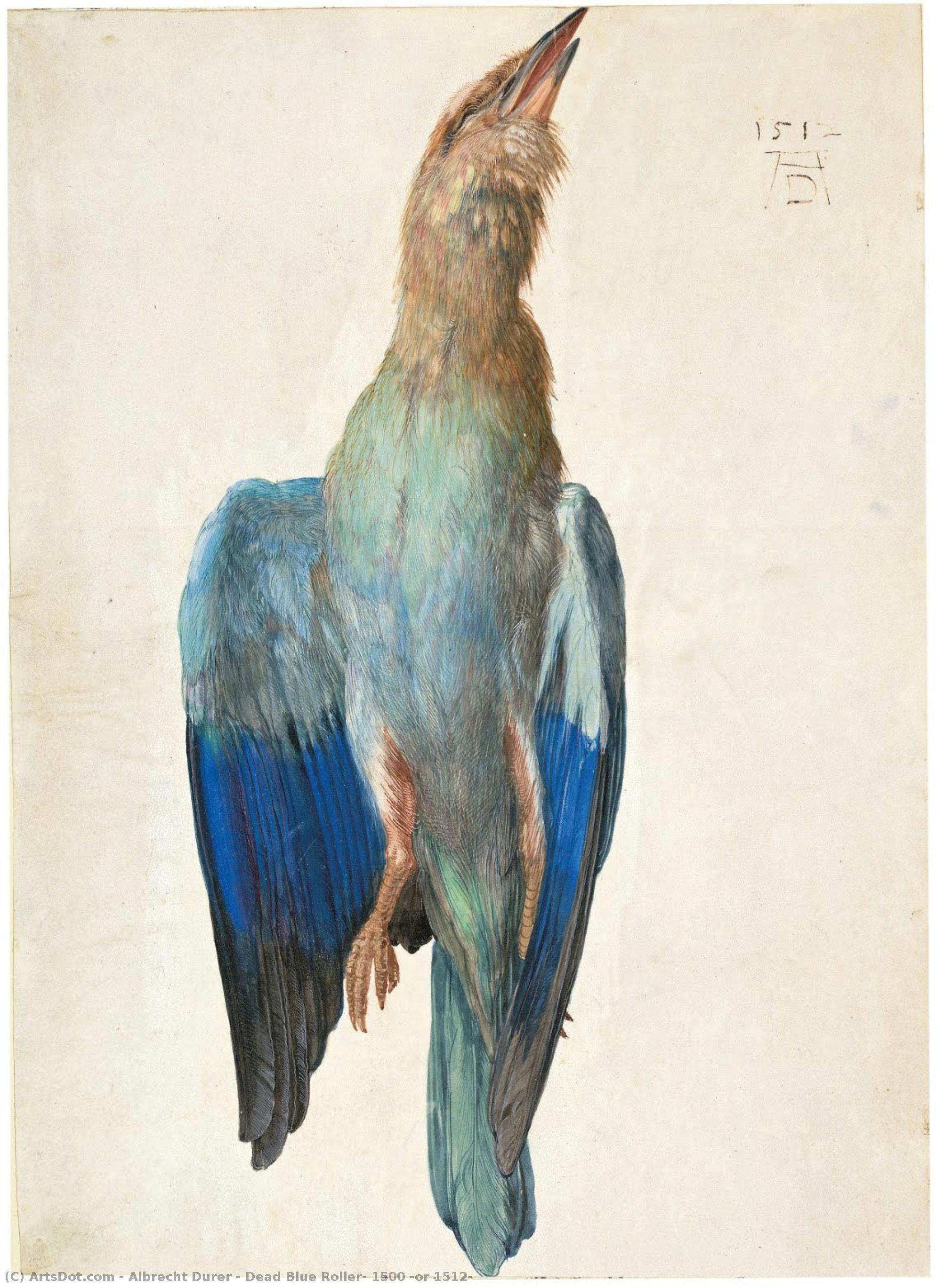 Dead Blue Roller, 1500 (or 1512) — Albrecht Dürer
