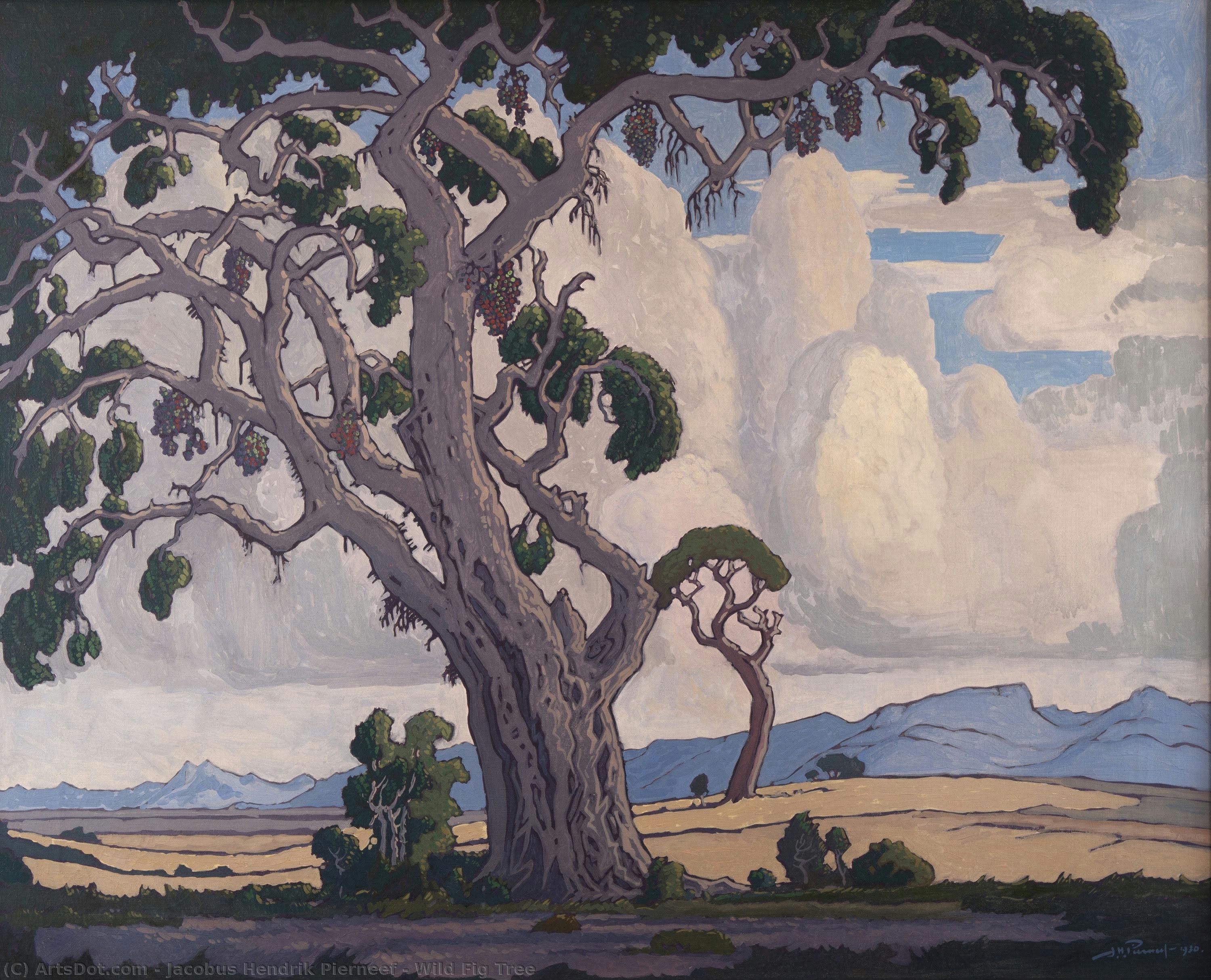 Wild Fig Tree — Jacobus Hendrik Pierneef